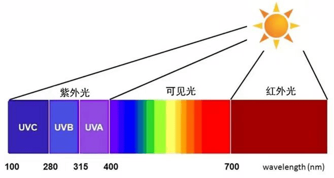 图片9 图片9